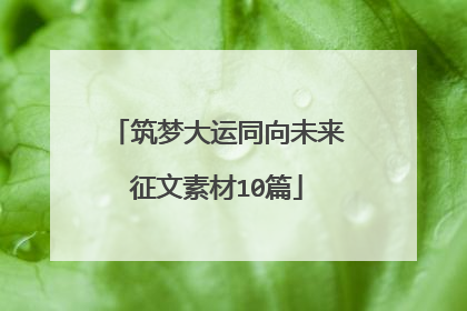 筑梦大运同向未来征文素材10篇