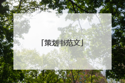策划书范文