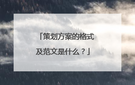 策划方案的格式及范文是什么？