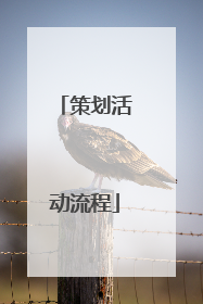 策划活动流程