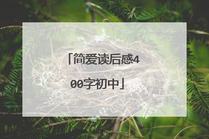 简爱读后感400字初中