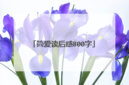 简爱读后感800字