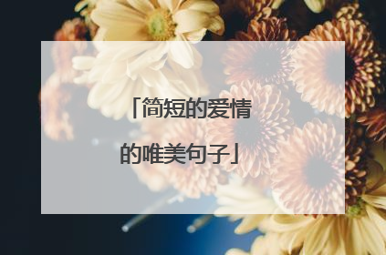 简短的爱情的唯美句子