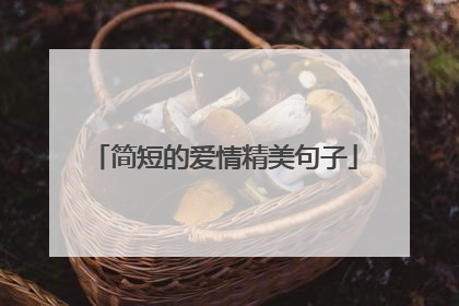 简短的爱情精美句子