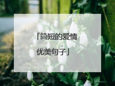 简短的爱情优美句子