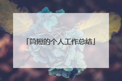 简短的个人工作总结