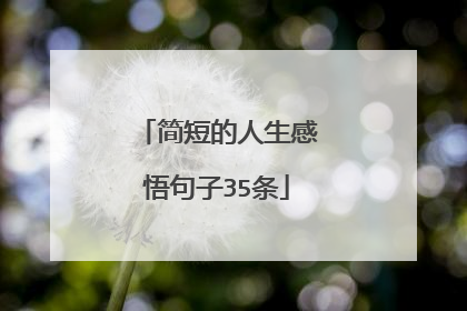 简短的人生感悟句子35条