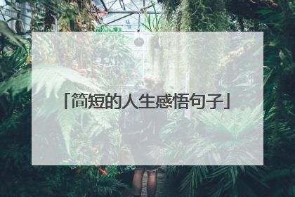 简短的人生感悟句子