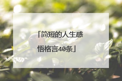 简短的人生感悟格言40条