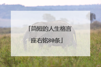 简短的人生格言座右铭80条