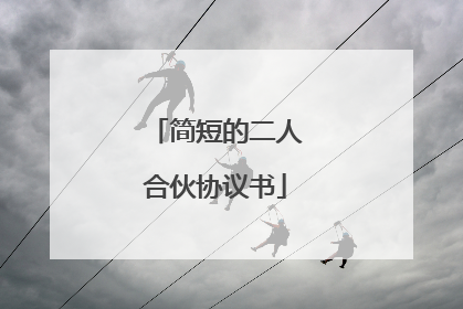 简短的二人合伙协议书
