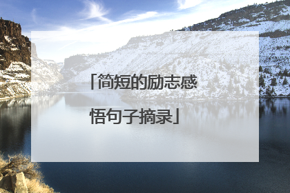 简短的励志感悟句子摘录