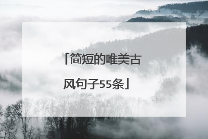 简短的唯美古风句子55条