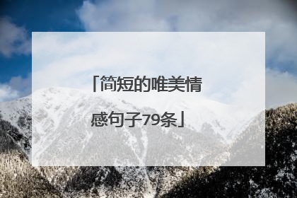 简短的唯美情感句子79条
