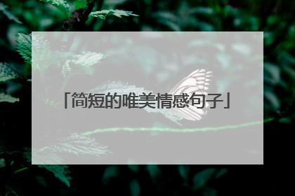 简短的唯美情感句子