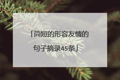简短的形容友情的句子摘录45条