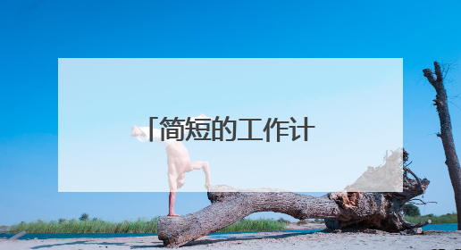 简短的工作计划与目标5项