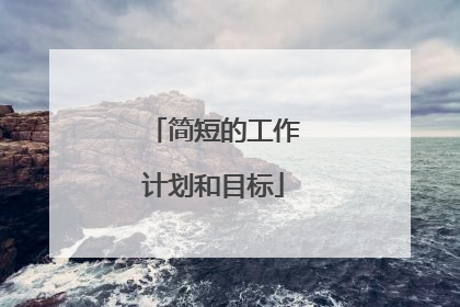 简短的工作计划和目标