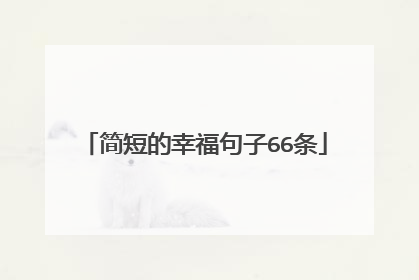 简短的幸福句子66条