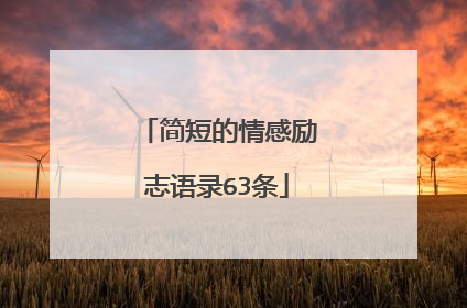 简短的情感励志语录63条