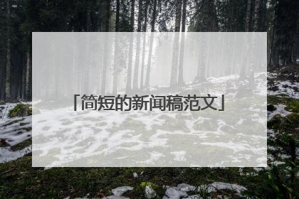 简短的新闻稿范文