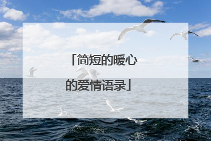 简短的暖心的爱情语录