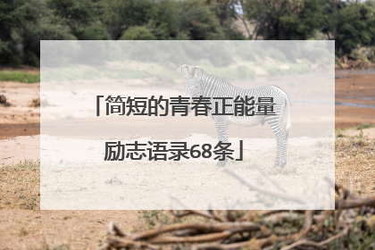简短的青春正能量励志语录68条