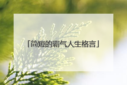 简短的霸气人生格言