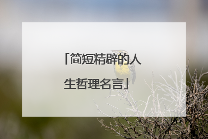 简短精辟的人生哲理名言