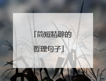 简短精辟的哲理句子