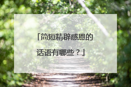 简短精辟感恩的话语有哪些？