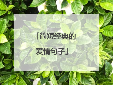 简短经典的爱情句子