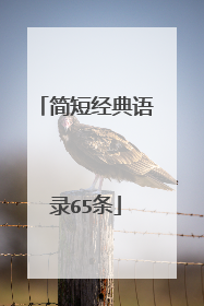 简短经典语录65条