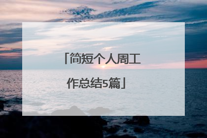 简短个人周工作总结5篇
