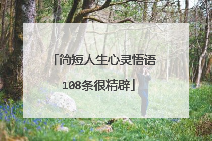 简短人生心灵悟语108条很精辟