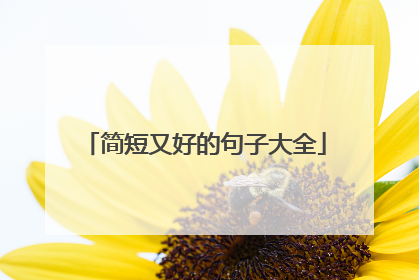简短又好的句子大全