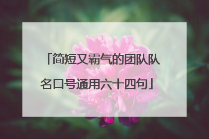简短又霸气的团队队名口号通用六十四句
