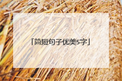 简短句子优美5字