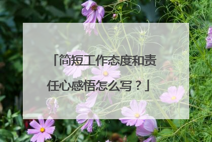 简短工作态度和责任心感悟怎么写？