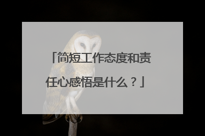 简短工作态度和责任心感悟是什么？