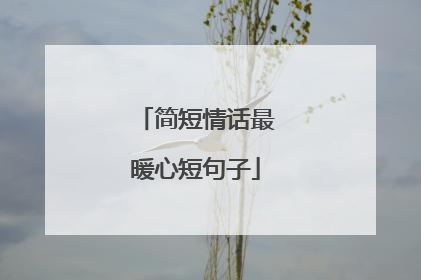简短情话最暖心短句子