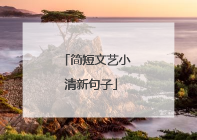 简短文艺小清新句子