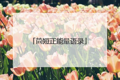 简短正能量语录