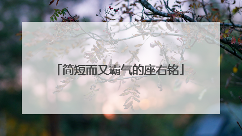 简短而又霸气的座右铭