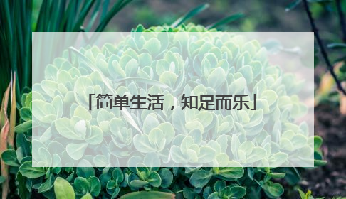 简单生活，知足而乐