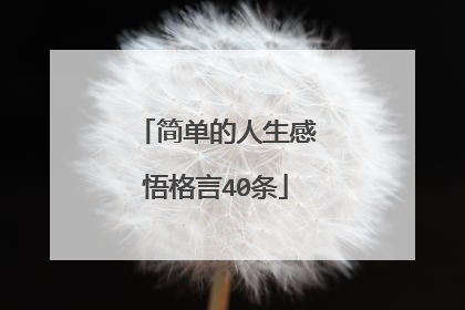 简单的人生感悟格言40条