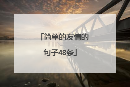 简单的友情的句子48条