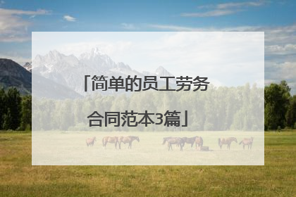 简单的员工劳务合同范本3篇