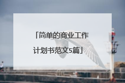 简单的商业工作计划书范文5篇