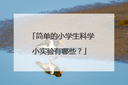 简单的小学生科学小实验有哪些?